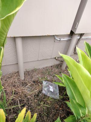 SpectrumTech trash 6-23-23 at Alii Plantation Apartments near Aloha Stadium. Guess he doesn't wipe himself after taking a crap !