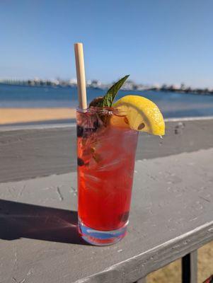 Blueberry mint lemonade