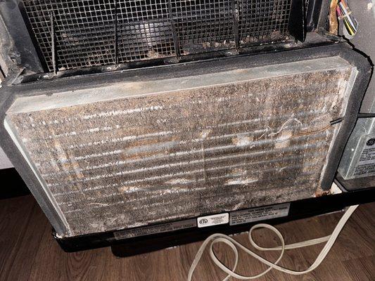 A/C coil packed with dirt. No wonder it didn't work.