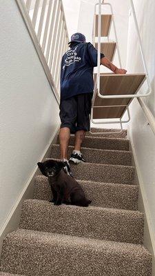 Expert Dallas Movers