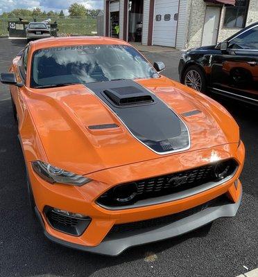 Mach 1 CDC Shaker installed in hood.