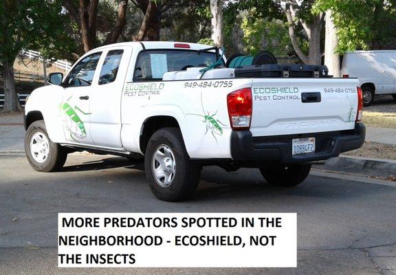 I feel sorry for these new neighbors; the predators have landed.