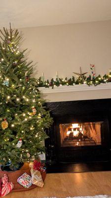 North Star Christmas Trees