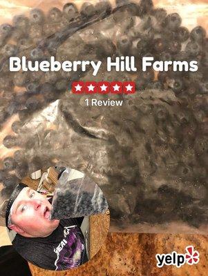 Blueberry Hill Farms