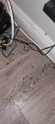 Twin Palms Apartments