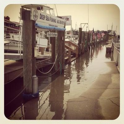 The best location in charleston! What a great view and easy way to spend a day!