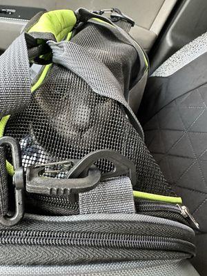 Lafayette Road Veterinary Hospital