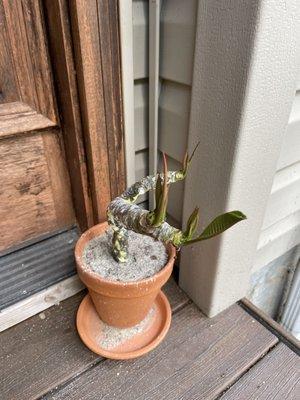 Things are happening