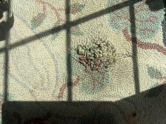 Area rug from McAdoo