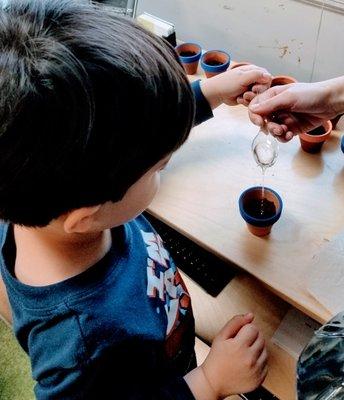 Scotch Plains Montessori