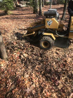 All Seasons Tree Service of NWA