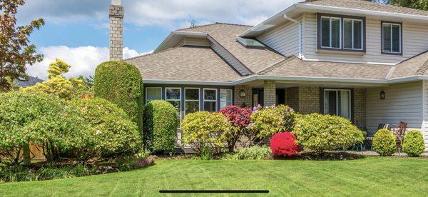 GreenTree landscaping/ maintenance