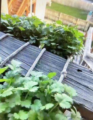 North Pulaski Public Library