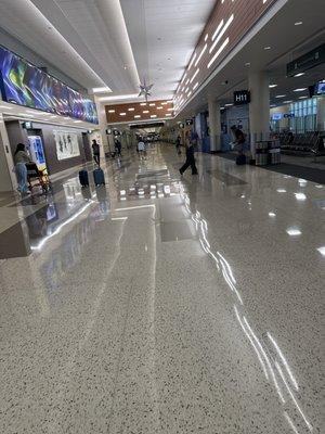 TSA At Minneapolis St Paul International Airport