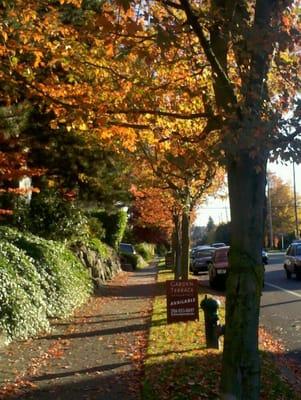 Garden Terrace Apartment Homes