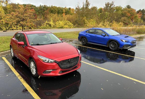Borgman Ford