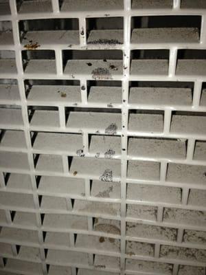 Americas Best Value Inn