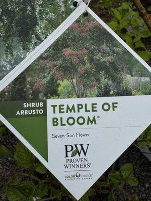 Lockwood's Greenhouses