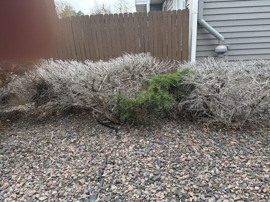 ACCU Inc. - Denver HOA Management Company