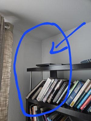 Polanco Flooring and Painting