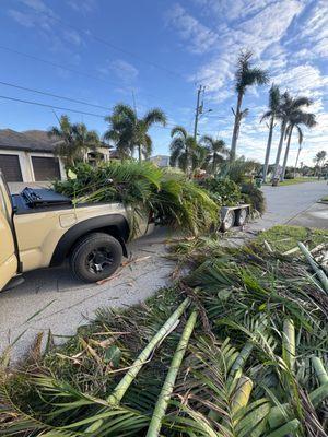 Centurion Landscaping