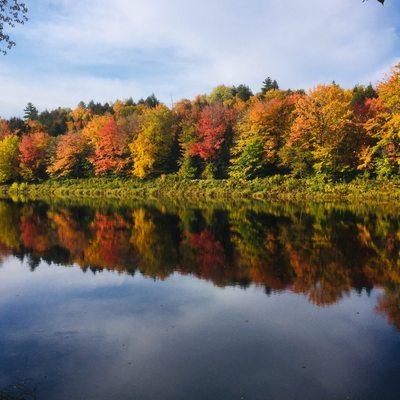 Autumn at the campground