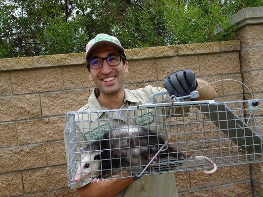 Birmingham Animal Exterminator