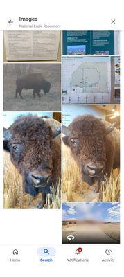 Little Dry Creek Park