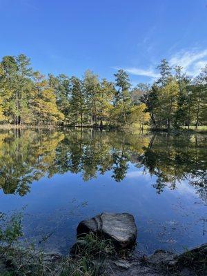 William Goodrich Jones State Forest