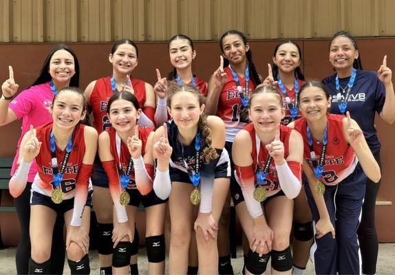 SA Elite Volleyball