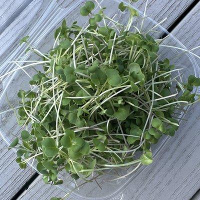 Mequon Microgreens