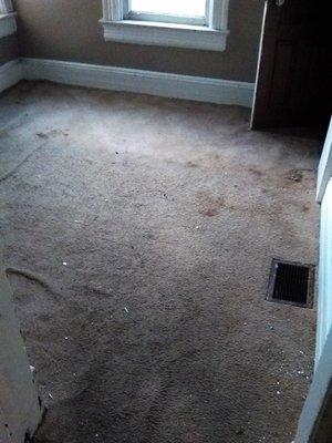 Steve's Floor Care & Services