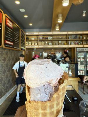 Salt & Straw