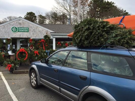 Green Spot Garden Center