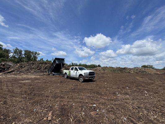Stumped Tree Service
