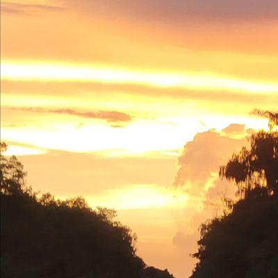 Sunset in the Everglades