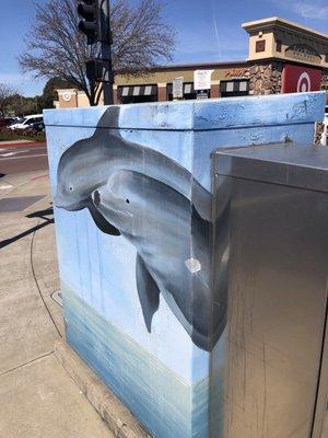 Side facing the Sun. Dolphins luv the Sun!