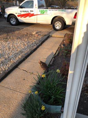 Jonas Snow Removal and Landscaping