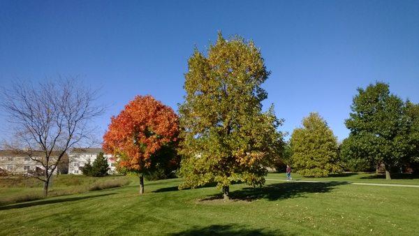 McGraw Park