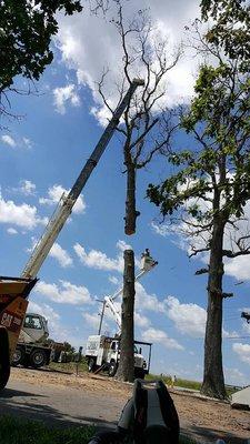 C2 Crane & Tree Service