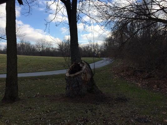 Walking trail