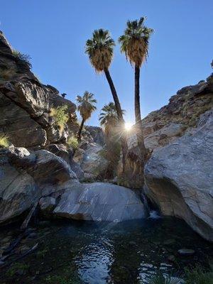 Murray Hill/Peak Hiking Trail