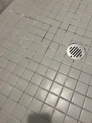 Sir Grout of Greater Fairfield County