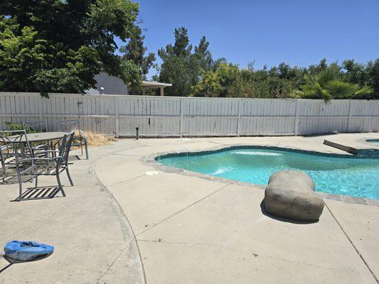 Arborist Family Tree Trimming