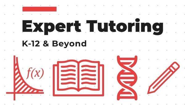Expert Tutoring
