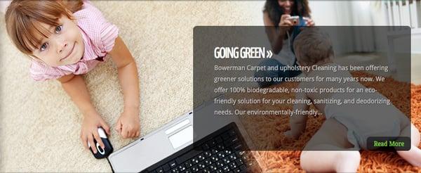 Bowerman Cleaning and Restoration