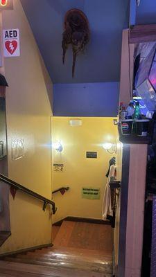 The Wild Card Saloon