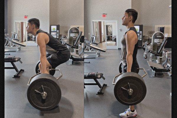 Strength training is the foundation for all clients.  It improves & regulates the hormones that affect fat metabolism and protein synthesis.