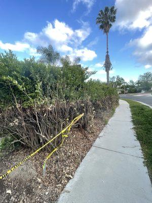 This is how it looks after using this guys