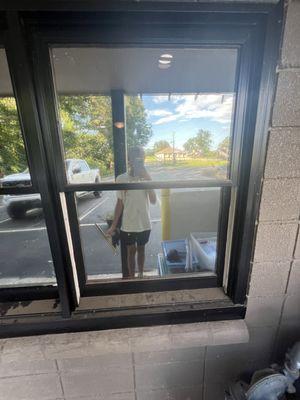 Squeaky Clean Window Cleaning